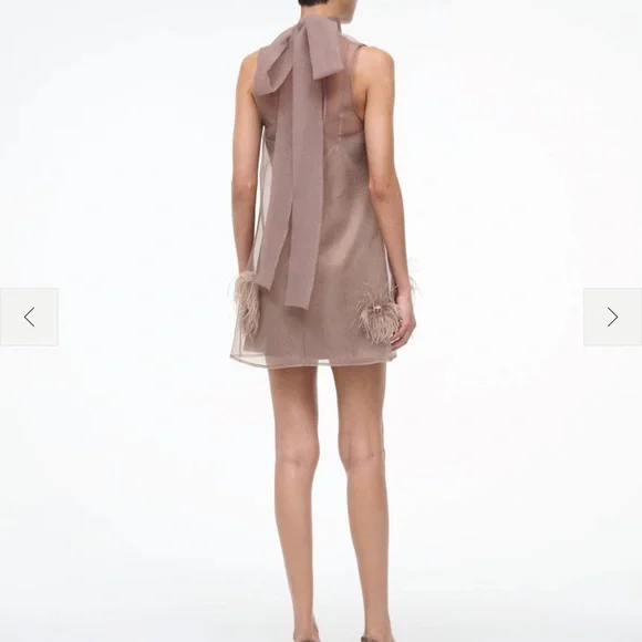 Elegant Sheer Brown Dress - Picture 2 of 3